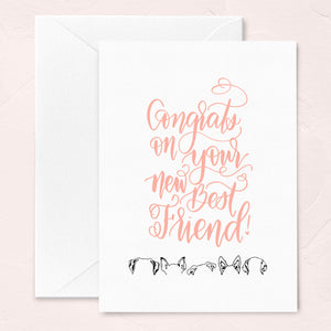 new dog greeting card with coral pink calligraphy and dog ear illustrations of common dog breeds