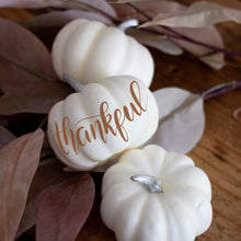 Load image into Gallery viewer, thankful hand lettered white pumpkin for thanksgiving centerpiece by fioribelle