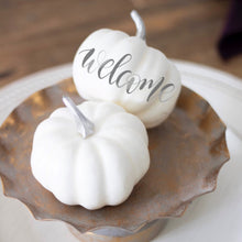 Load image into Gallery viewer, welcome pumpkin fall home decor by fioribelle